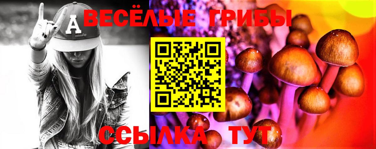 Псилоцибиновые грибы мицелий  Вход с VPN  Анапа 